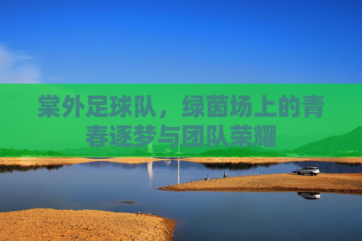 棠外足球队,绿茵场上的青春逐梦与团队荣耀