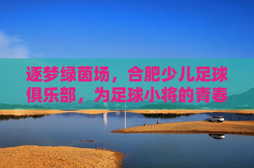 逐梦绿茵场，合肥少儿足球俱乐部，为足球小将的青春注入活力与希望