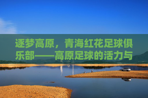 逐梦高原，青海红花足球俱乐部——高原足球的活力与希望，逐梦高原，青海红花足球俱乐部，高原足球的活力与希望