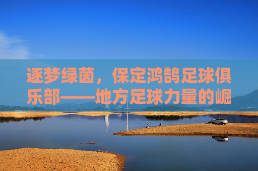 逐梦绿茵,保定鸿鹄足球俱乐部——地方足球力量的崛起与职业化征程,逐梦绿茵,保定鸿鹄足球俱乐部——地方足球力量的崛起与职业化征程