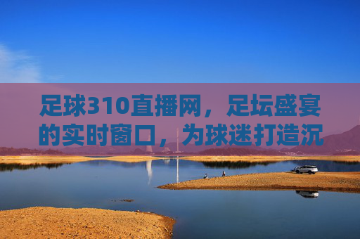 足球310直播网，足坛盛宴的实时窗口，为球迷打造沉浸式观赛体验，足球310直播网，足坛盛宴的实时窗口，为球迷打造沉浸式观赛体验