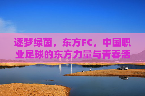 逐梦绿茵,东方FC,中国职业足球的东方力量与青春活力,逐梦绿茵,东方FC,中国职业足球的东方力量与青春活力