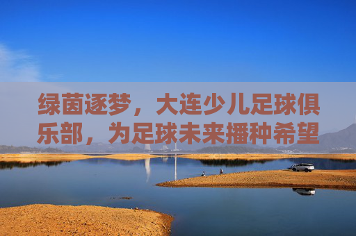 绿茵逐梦,大连少儿足球俱乐部,为足球未来播种希望