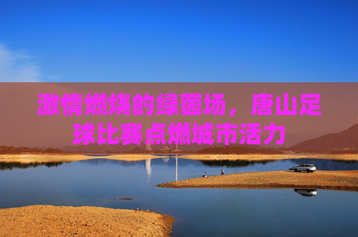 激情燃烧的绿茵场，唐山足球比赛点燃城市活力