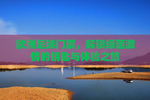欧洲足球门票,解锁绿茵激情的钥匙与体验之旅