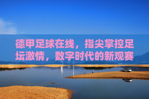 德甲足球在线，指尖掌控足坛激情，数字时代的新观赛体验