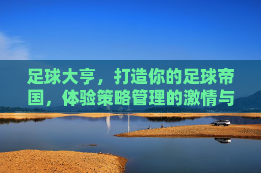 足球大亨，打造你的足球帝国，体验策略管理的激情与荣耀，足球大亨，打造足球帝国，体验策略管理的激情与荣耀