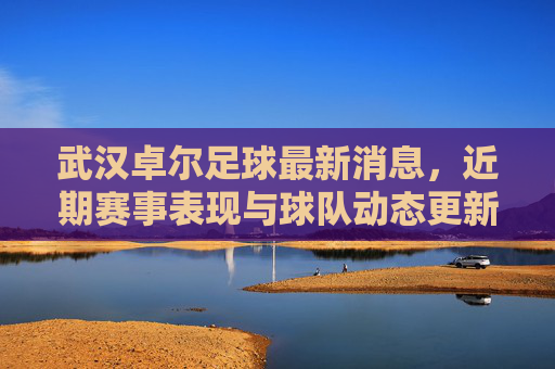 武汉卓尔足球最新消息，近期赛事表现与球队动态更新，武汉卓尔足球最新消息，近期赛事表现与球队动态更新