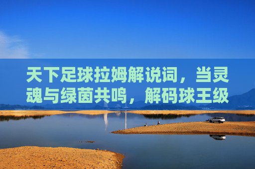 天下足球拉姆解说词，当灵魂与绿茵共鸣，解码球王级角色的赛场诗篇，天下足球拉姆解说词，当灵魂与绿茵共鸣，解码球王级角色的赛场诗篇