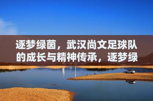 逐梦绿茵，武汉尚文足球队的成长与精神传承，逐梦绿茵，武汉尚文足球队的成长与精神传承
