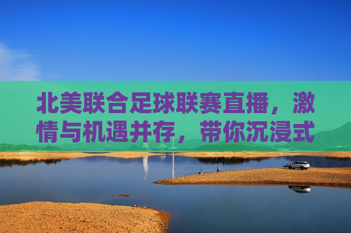 北美联合足球联赛直播，激情与机遇并存，带你沉浸式感受绿茵魅力