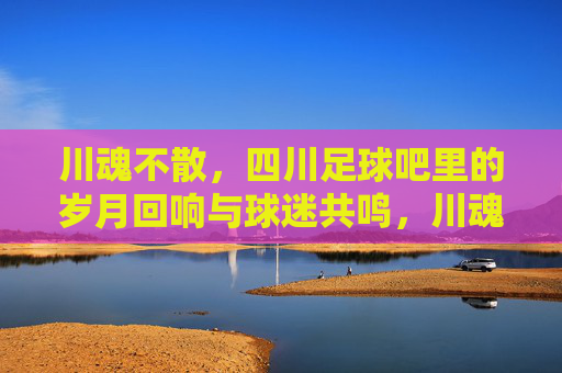 川魂不散，四川足球吧里的岁月回响与球迷共鸣，川魂不散，四川足球吧里的岁月回响与球迷共鸣