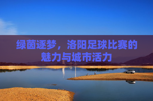 绿茵逐梦,洛阳足球比赛的魅力与城市活力