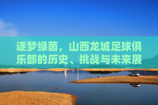 逐梦绿茵，山西龙城足球俱乐部的历史、挑战与未来展望