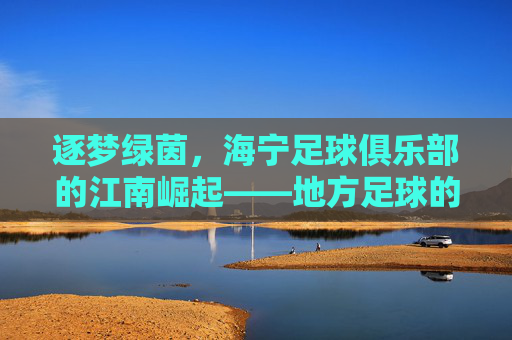逐梦绿茵，海宁足球俱乐部的江南崛起——地方足球的活力与希望，逐梦绿茵，海宁足球俱乐部的江南崛起——地方足球的活力与希望