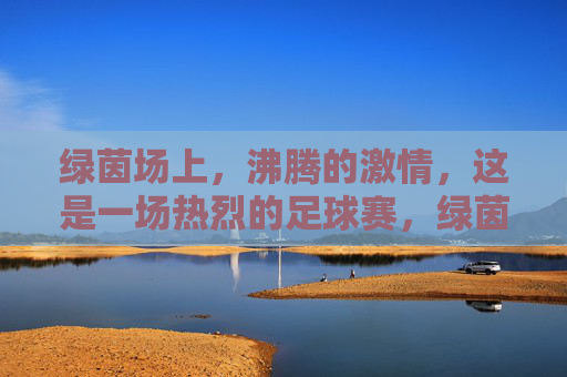 绿茵场上，沸腾的激情，这是一场热烈的足球赛，绿茵场上沸腾的激情，一场热烈的足球赛