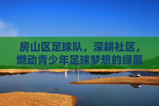 房山区足球队，深耕社区，燃动青少年足球梦想的绿茵力量，房山区足球队，深耕社区，燃动青少年足球梦想的绿茵力量