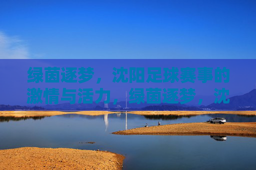 绿茵逐梦,沈阳足球赛事的激情与活力,绿茵逐梦,沈阳足球赛事的激情与活力