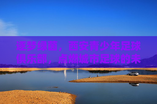 逐梦绿茵，西安青少年足球俱乐部，点燃城市足球的未来火种，逐梦绿茵，西安青少年足球俱乐部，点燃城市足球的未来火种