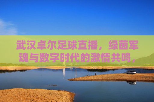 武汉卓尔足球直播，绿茵军魂与数字时代的激情共鸣，武汉卓尔足球直播，绿茵军魂与数字时代的激情共鸣