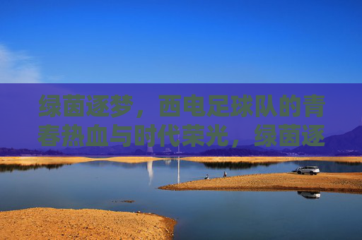 绿茵逐梦,西电足球队的青春热血与时代荣光,绿茵逐梦,西电足球队的青春热血与时代荣光