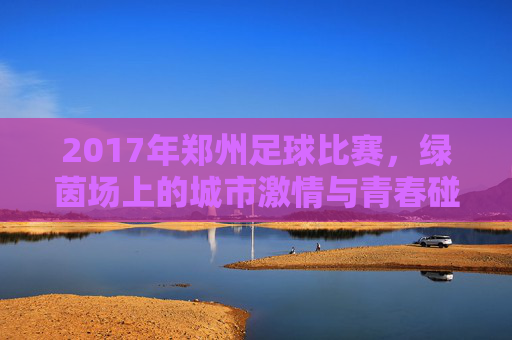 2017年郑州足球比赛,绿茵场上的城市激情与青春碰撞,2017年郑州足球比赛,绿茵场上的城市激情与青春碰撞