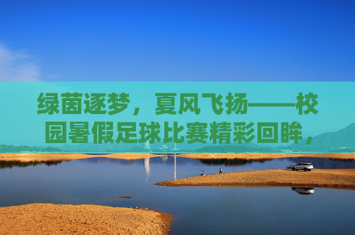 绿茵逐梦，夏风飞扬——校园暑假足球比赛精彩回眸，绿茵逐梦，夏风飞扬——校园暑假足球比赛精彩回眸