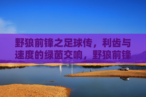 野狼前锋之足球传，利齿与速度的绿茵交响，野狼前锋之足球传，利齿与速度的绿茵交响