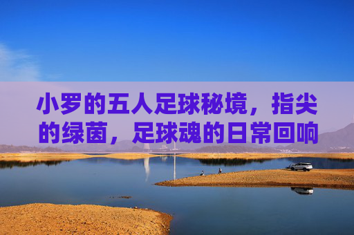 小罗的五人足球秘境,指尖的绿茵,足球魂的日常回响,小罗的五人足球秘境,指尖的绿茵与足球魂的日常回响
