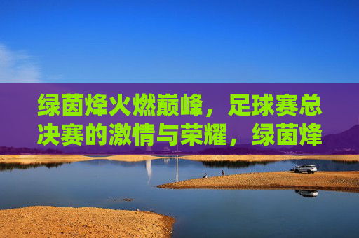 绿茵烽火燃巅峰，足球赛总决赛的激情与荣耀，绿茵烽火燃巅峰，足球赛总决赛的激情与荣耀