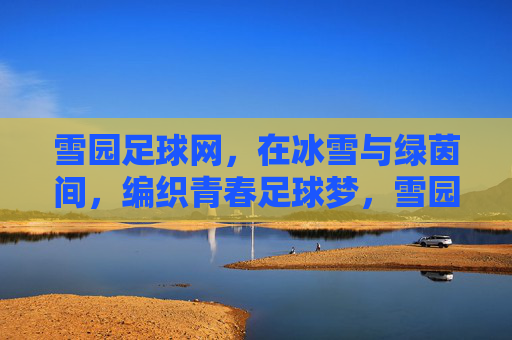 雪园足球网，在冰雪与绿茵间，编织青春足球梦，雪园足球网，在冰雪与绿茵间，编织青春足球梦