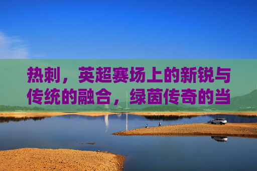 热刺,英超赛场上的新锐与传统的融合,绿茵传奇的当代演绎,热刺,英超赛场新锐与传统的融合,绿茵传奇的当代演绎