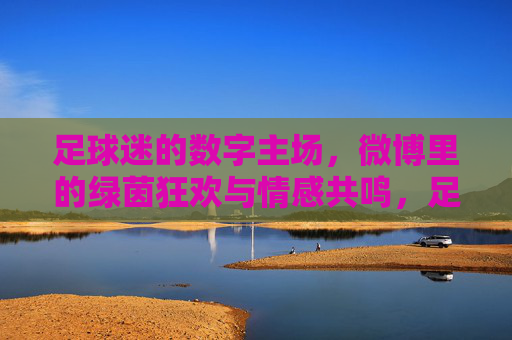 足球迷的数字主场，微博里的绿茵狂欢与情感共鸣，足球迷的数字主场，微博里的绿茵狂欢与情感共鸣