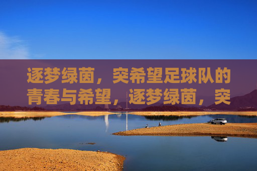 逐梦绿茵，突希望足球队的青春与希望，逐梦绿茵，突希望足球队的青春与希望