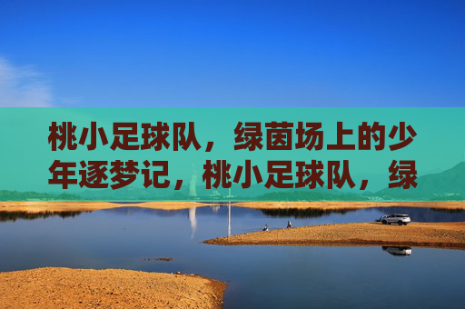 桃小足球队，绿茵场上的少年逐梦记，桃小足球队，绿茵场上的少年逐梦记