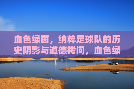 血色绿茵，纳粹足球队的历史阴影与道德拷问，血色绿茵，纳粹足球队的历史阴影与道德拷问