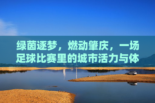 绿茵逐梦，燃动肇庆，一场足球比赛里的城市活力与体育精神，绿茵逐梦，燃动肇庆，一场足球比赛里的城市活力与体育精神