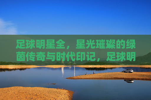 足球明星全，星光璀璨的绿茵传奇与时代印记，足球明星全，星光璀璨的绿茵传奇与时代印记