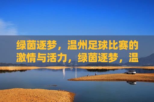 绿茵逐梦，温州足球比赛的激情与活力，绿茵逐梦，温州足球比赛的激情与活力