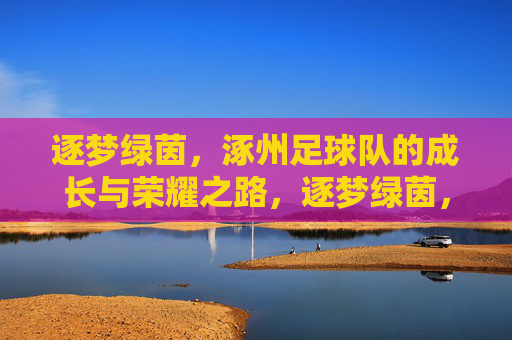 逐梦绿茵，涿州足球队的成长与荣耀之路，逐梦绿茵，涿州足球队的成长与荣耀之路