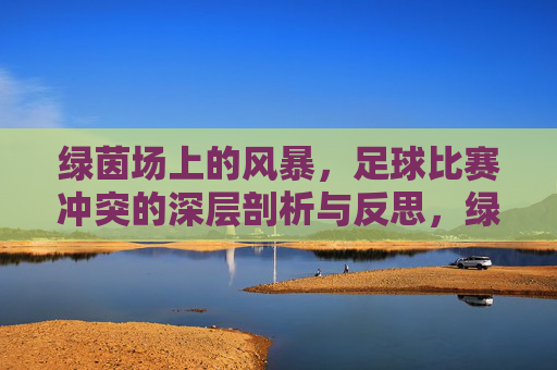 绿茵场上的风暴,足球比赛冲突的深层剖析与反思,绿茵场上的风暴,足球比赛冲突的深层剖析与反思