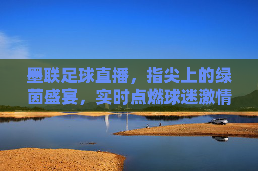 墨联足球直播，指尖上的绿茵盛宴，实时点燃球迷激情，墨联足球直播，指尖上的绿茵盛宴，实时点燃球迷激情