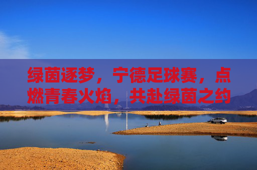 绿茵逐梦，宁德足球赛，点燃青春火焰，共赴绿茵之约，绿茵逐梦，宁德足球赛点燃青春火焰，共赴绿茵之约