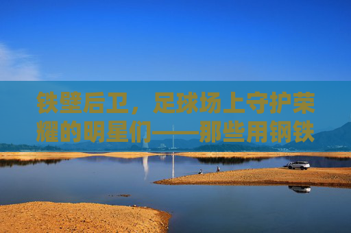 铁壁后卫，足球场上守护荣耀的明星们——那些用钢铁意志铸就防线传奇的后卫足球明星，铁壁后卫，足球场上用钢铁意志铸就防线传奇的守护者