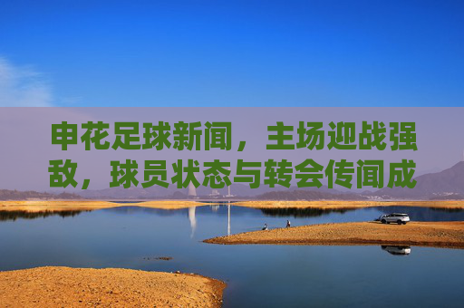 申花足球新闻，主场迎战强敌，球员状态与转会传闻成球迷关注焦点，申花主场迎战强敌，球员状态与转会传闻成关注焦点