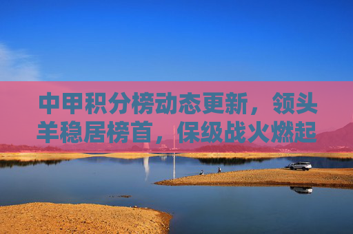 中甲积分榜动态更新,领头羊稳居榜首,保级战火燃起,各队竞争白热化,中甲积分榜动态更新,领头羊稳居榜首,保级战火燃起竞争白热化