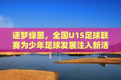 逐梦绿茵,全国U15足球联赛为少年足球发展注入新活力,逐梦绿茵,全国U15足球联赛为少年足球发展注入新活力