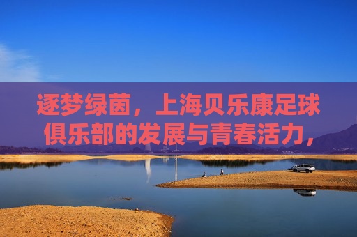 逐梦绿茵，上海贝乐康足球俱乐部的发展与青春活力，逐梦绿茵，上海贝乐康足球俱乐部的发展与青春活力