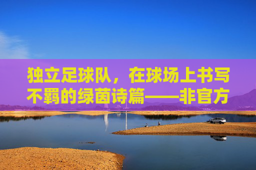 独立足球队，在球场上书写不羁的绿茵诗篇——非官方联赛中的自主与热爱，独立足球队，在球场上书写不羁的绿茵诗篇——非官方联赛中的自主与热爱