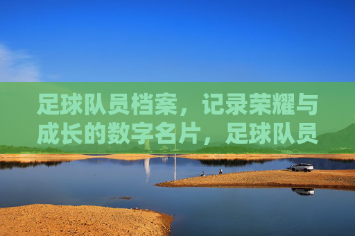 足球队员档案,记录荣耀与成长的数字名片,足球队员档案,记录荣耀与成长的数字名片